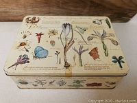 Top view of Potter and Moore rectangular tin with detailed botanical and insect illustrations and some minor wear and discoloration on lid.