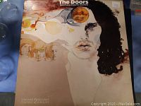 The Doors vinyl album cover showing artistic watercolor style portrait art, listing it contains 2 records.