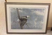 Front view of framed color print featuring a bald eagle in mid-flight perched on a branch with forest background