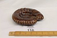 Photo of vintage baseball mitt ashtray showing full view and approximate size.