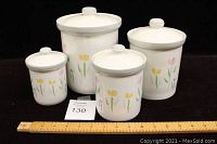 Set of four white ceramic canisters with hand-painted yellow and pink floral design, arranged front-facing on black background with measuring ruler
