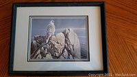 Photo shows a framed picture of a bird perched on rocky terrain with muted sky background.