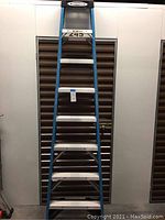 Front view of the full 8 ft ladder showing the blue fiberglass rails and aluminum steps with a Werner logo on the top.