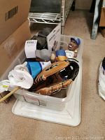 Overview of plastic bin containing glove, sweat rag, mini flag and two Blue Jays bobbleheads