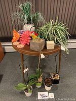 View of entire lot showing table with items including real orchids in pots, faux plants, colorful faux flowers, and a plush bird.