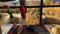 View of three hanging parrots and black iron pelican by window with outdoor background.