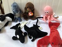 Six Ty Beanie Babies plush toys in various animal shapes including shark, otter, octopus, whale, manta ray, and lobster shown on white fabric background.