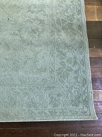 Close-up photo of the sage green area rug showing color, border design, and texture.