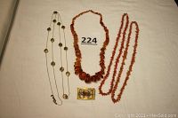 Full overview of five necklaces and one pin arranged on cloth.