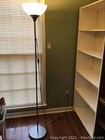 Full view of the tall floor lamp with plastic globe lighting and pull chain switch, showing its general condition and setup.