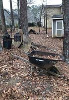 Black metal wheelbarrow placed between trees outdoors on ground covered with dry brown leaves