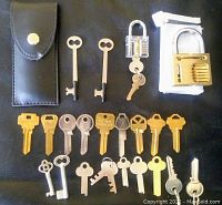 Top view of assorted keys and training padlocks on black surface. Includes 18 key blanks of various shapes and two padlocks with keys, one being clear plastic training lock and one brass lock with gears.