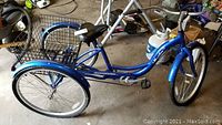 Left-side view showing entire tricycle with steel frame, step-through design, rear basket and front wheel.
