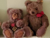 Both large and smaller teddy bears sitting side by side, showing their general size and appearance.