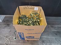 Cardboard box labeled with contents containing large tree/bush LED light set, 14 LED light strands, and 8 incandescent light strands coiled inside.