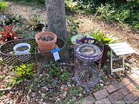 Wide view of outdoor plant stands with flower pots, bird bath, and folding stand arranged on garden soil and brick pathway.