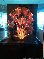 Vintage peacock fibre optic lamp glowing red inside clear display case on black base