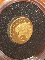 Close-up photo of the gold cougar coin in protective casing showing detailed cougar head and inscriptions.