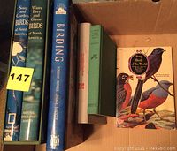 Six assorted bird books arranged side by side in a cardboard box showing spines and partial covers.