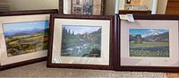 Group of three framed Colorado landscape photos displayed leaning against wall and floor