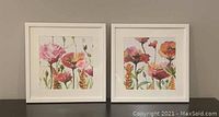 Pair of framed floral artwork prints placed side by side against a neutral wall, showing colorful flowers in pink, orange, and green inside white frames.