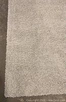 Full view of beige shag rug carpet showing texture and edge