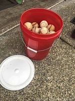 Red 5 gallon plastic bucket filled with used baseballs placed on gravel surface. Lid is off and lying beside bucket.