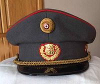Front view of the Austrian military peaked hat showing the grey body with red piping, gold bullion cockade and shield emblem, braided gold chin strap and black visor.