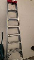Full view of the Featherlite aluminum ladder showing its height and base structure.