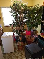 Full view of the artificial birch tree placed between appliances showing overall height and leaf detail.