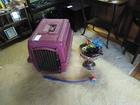 PetMate Porter dog carrier placed on carpet next to a silver vase containing dog leashes, ball thrower and dog balls