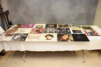 All 20 vinyl LP albums laid out on a white tablecloth with visible variety in album cover art and condition.