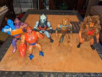 Five Masters of the Universe figures arranged on a wooden surface, showing overall condition and character details for identification.
