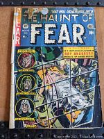 Full front cover of the Haunt of Fear comic book showing the cover art and condition.