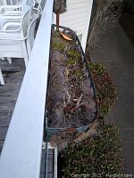 Top-down view of a hanging rectangular pot with coconut fiber liner showing plant debris and moss remnants.