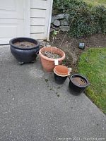 Photo showing all pots arranged on driveway beside garage door and near garden bed; large black pot on wheels, large terracotta pot, and smaller pots placed in front.