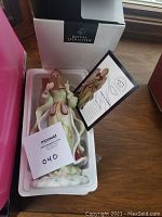 Royal Doulton Angel of Wisdom porcelain figurine in original box with certificate and MaxSold lot number card