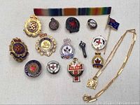 Photo shows 15 enamel lapel pins of various sizes and designs laid out with a gold-tone chain and pendant on a cream fabric background.