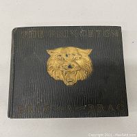 Front cover of the 1929 Princeton University Bric-A-Brac yearbook showing black textured cover with gold embossed wildcat and title text.