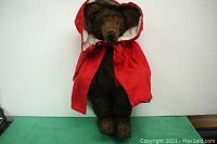 Front view of the Big Bad Wolf plush doll dressed in red hooded jacket.