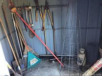 Wide view of variety of long-handled tools such as rakes, loppers, shovels, and a tomato cage inside a metal shed