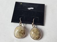 Front view of two drop earrings attached to a black display card showing the oval beige stones and sterling silver setting.