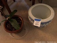 Orchid plant in small brown pot next to large ceramic pot with blue floral design on light carpet.