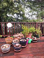 Deck display of assorted planters and watering cans