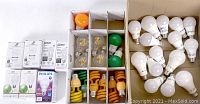 Overview of all 35 bulbs including boxed and loose bulbs with mixed types and colors