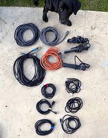 Photo showing all extension cords coiled in various sizes, including black power strips with attached cords, placed on concrete surface with a small black dog in the background.