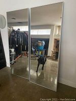 Pair of rectangular full length mirrors standing side by side on a concrete floor, reflecting a room interior including clothing rack and dog.