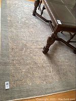 Full view of area rug under coffee table showing overall design, border, and fringe