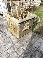 View of one side of the square cement planter showing raised floral relief detail and weathered surface.