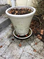 Photo of 17 inch diameter ceramic planter with visible plant debris and dirt on ground and saucer.